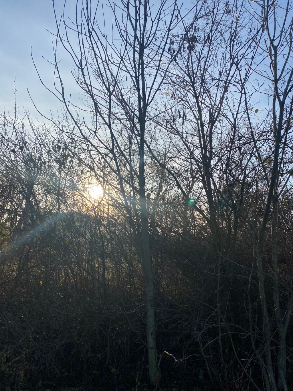 Advent harmadik gyertyája /&nbsp;Öröm