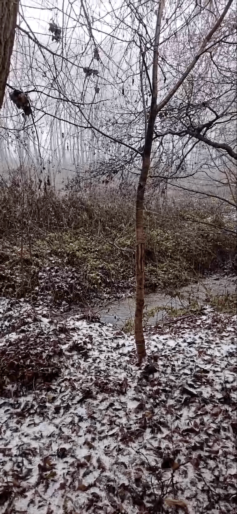 Amikor az erő megtart, de nem kell, hogy egyedül&nbsp;vigyen